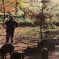 121028_herbsttag39