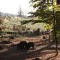 121028_herbsttag59