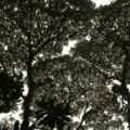 img_0074001