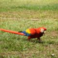 img_0097001