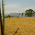 img_0110001