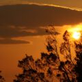 img_0234001