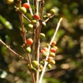 img_0265001