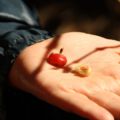 img_0267001