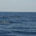 img_0442001