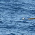 img_0505001