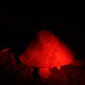 img_0606001