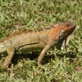 img_0630001