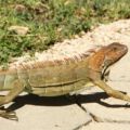 img_0637001