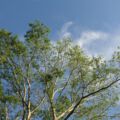 img_0652001