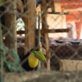 img_0688001