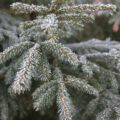 img_9033001