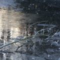 img_9064001
