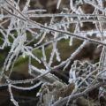 img_9065001