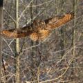 img_9126001