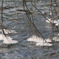 img_9128001