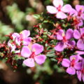 img_91991