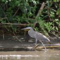 img_9357001