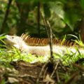 img_9394001