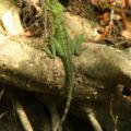 img_9406001