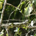 img_9491001