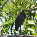 img_9505001