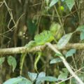 img_9515001