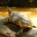 img_9566001
