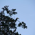 img_9648001