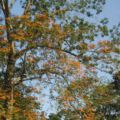 img_9662001