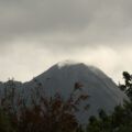 img_9879001