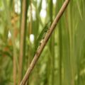 img_9899001