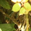 img_9959001