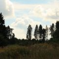 sommerlager2013_194