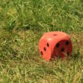 sommerlager2013_204