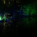 waldlichter20120426_2