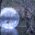 waldlichter20120426_20