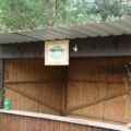 waldlichter20120426_24
