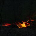 waldlichter20120426_25