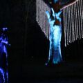 waldlichter20120426_34