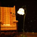 waldlichter20120426_4