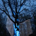 waldlichter20120426_62