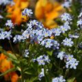 wildwald_01-136